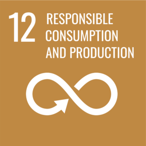 Hållbarhetsplan Responsible Consumtion and Production