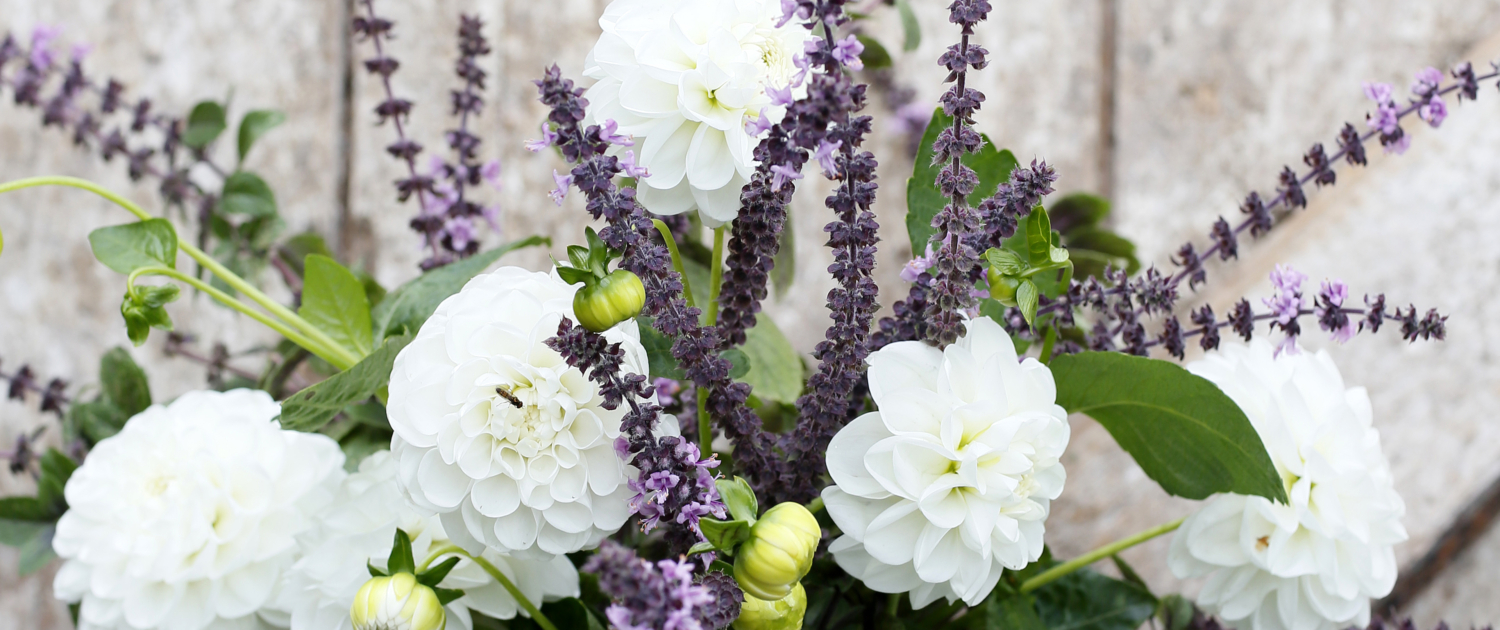 Blomsterbasilika i bukett med andra blommor