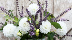 Blomsterbasilika i bukett med andra blommor