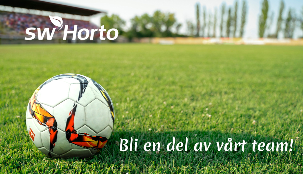 fotboll på fotbollsplan