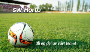 fotboll på fotbollsplan