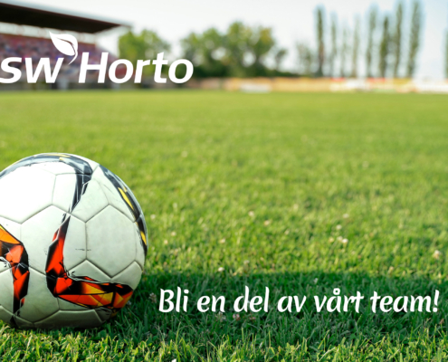 fotboll på fotbollsplan