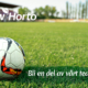 fotboll på fotbollsplan